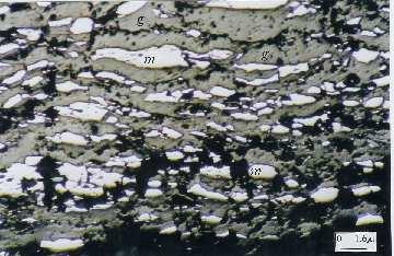 5.2 Cevherleşmenin Mineralojisi 5.2.1 Maden mikroskobik incelemeler Sarıkaya demir cevherleşmelerinde manyetit+hematit+pirit+kalkopirit+martit+markasit mineralleri belirlenmiştir.