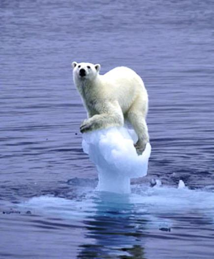 1.3 Buzküre Grönland ve Antarktik buz kalkanları geçen 20 yıllık dönemde kütle kaybetmekte, buzullar (dağ, vadi ve takke buzulları, vb.