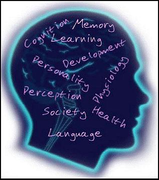 Öğrenim Hedefleri: Öğrenciler; İnsanı tanımanın gerekliliğini açıklayabilmeli Psikolojinin tanımını yapabilmeli Psikolojinin