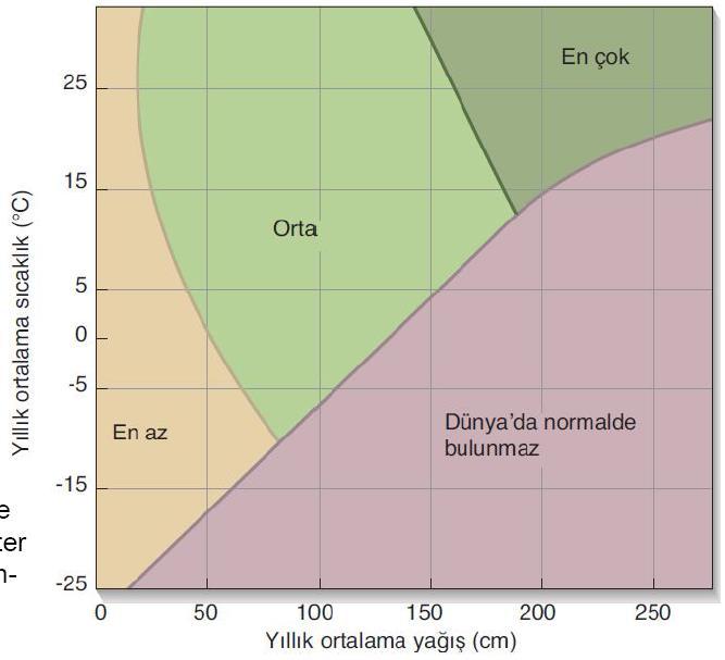 Ayrışmayı Hızlandıran Etkenler 3.