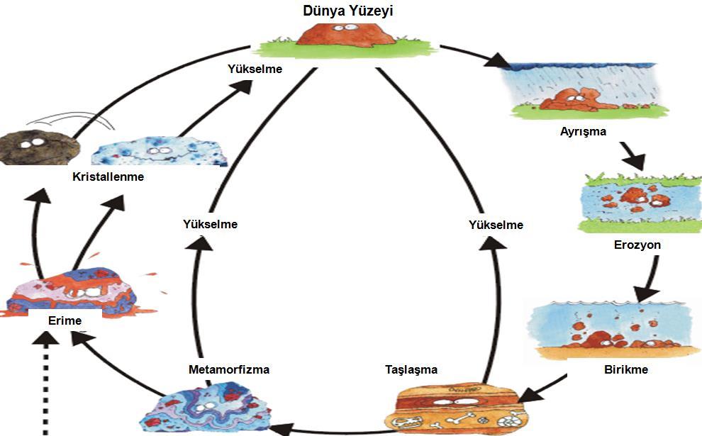 Kayaç oluşumunun bu döngüdeki yeri İÇ DİNAMİK DIŞ