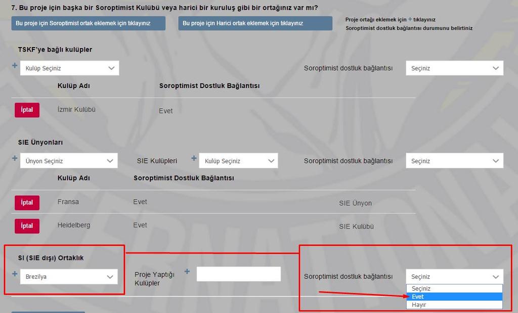 Seçtiğiniz SI(SIE dıģı)ortaklık ülkenize uygun olan bilginin (Evet