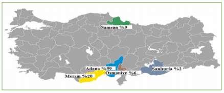 TÜRKİYE SOYA EKİM ALANLARI; Soya Türkiye de ekim alanı ve üretim bakımından Akdeniz Bölgesi nde önemli bir yere sahiptir.