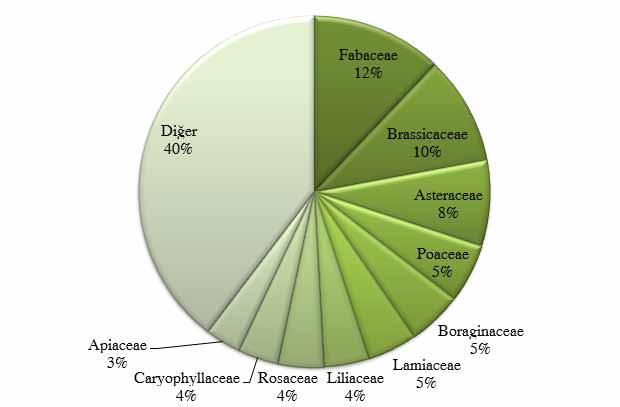 Biological Diversity and Conservation 6 / 1 (2013) 175 Araştırma alanında en fazla taksona sahip familyalar; 29 takson ile Fabaceae, 24 takson ile Brassicaceae, 19 takson ile Asteraceae, 13 takson