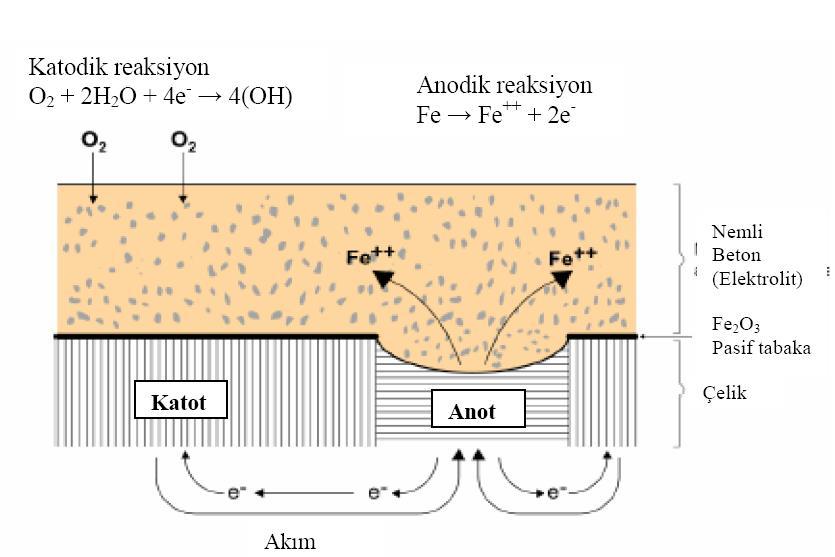 Korozyon Mekanizması Akım devresi OH- iyonlarının anoda iletilmesi ile kapanmaktadır.
