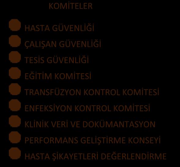 KOMİTESİ ENFEKSİYON KONTROL KOMİTESİ KLİNİK VERİ VE DOKÜMANTASYON