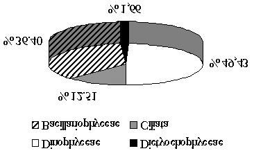 Şekil 2. Ocak 1998 döneminde sistematik grupların dağılım yüzdeleri Şekil 3.