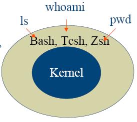 LINUX Kabuk (Shell) Linux u, DOS/Windows gibi işletim sistemlerinden ayıran en belirgin özellik, işletim sisteminden ayrı bir komut kabuğunun (the command shell) bulundurmasıdır.