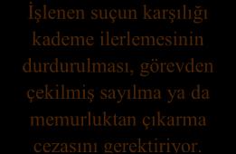 Soruşturmacı elde ettiği kanıtlar, dinlenen tanıklar, alınan ifade ve savunmalar,