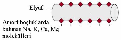 gerekmektedir. Bu katyonlar antibakteriyel aktiviteye sahip olduğu bilinen Ag +,Cu +2,Zn +2 gibi metal katyonlarıyla kolaylıkla yer değiştirebilmektedir.