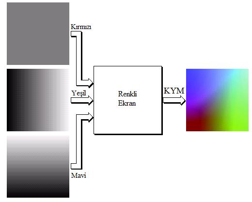 Şekil 2.4 Renkli Görüntünün Oluşumu ( [26] dan Türkçeleştirilerek) 2.2. RGB Renk Uzayı RGB renk uzayında, her renk birincil spektral bileşenleri olan kırmızı, yeşil ve mavi renklerin birleşimi ile gösterilir.