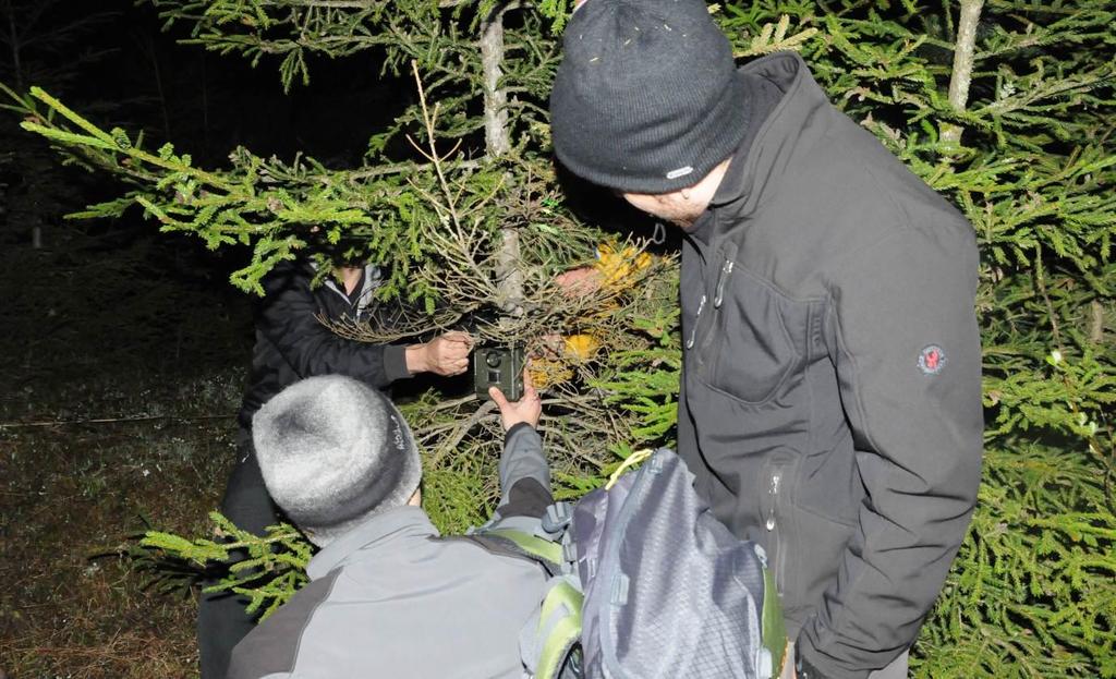 Kampın Etrafına ve Ormanlara Fotokapanları Kurduk.