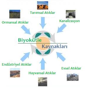 Yağ denilmektedir. Kanalizasyon çamurunda ise son yıllarda dünyada ar-ge çalışmaları, üniversiteler ve ticari işletmeler tarafından yapılmaktadır.