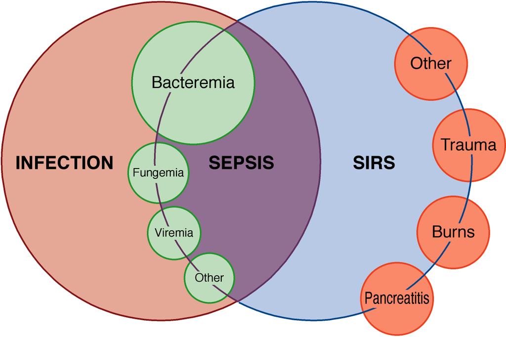 Sepsis: Karmaşık Bir Hastalık Bone RC et al. Chest.