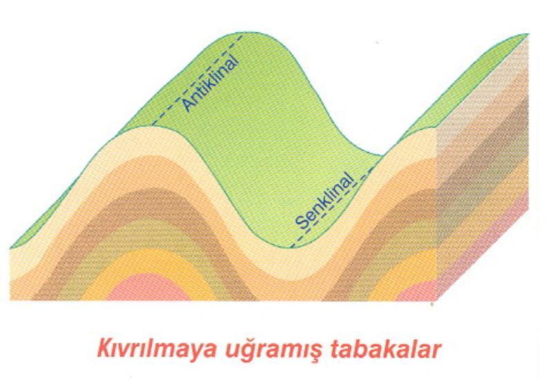 KIVRIMLAR Tabakalı kayaçların tektonik kuvvetlerin etkisi ile kazanmış oldukları