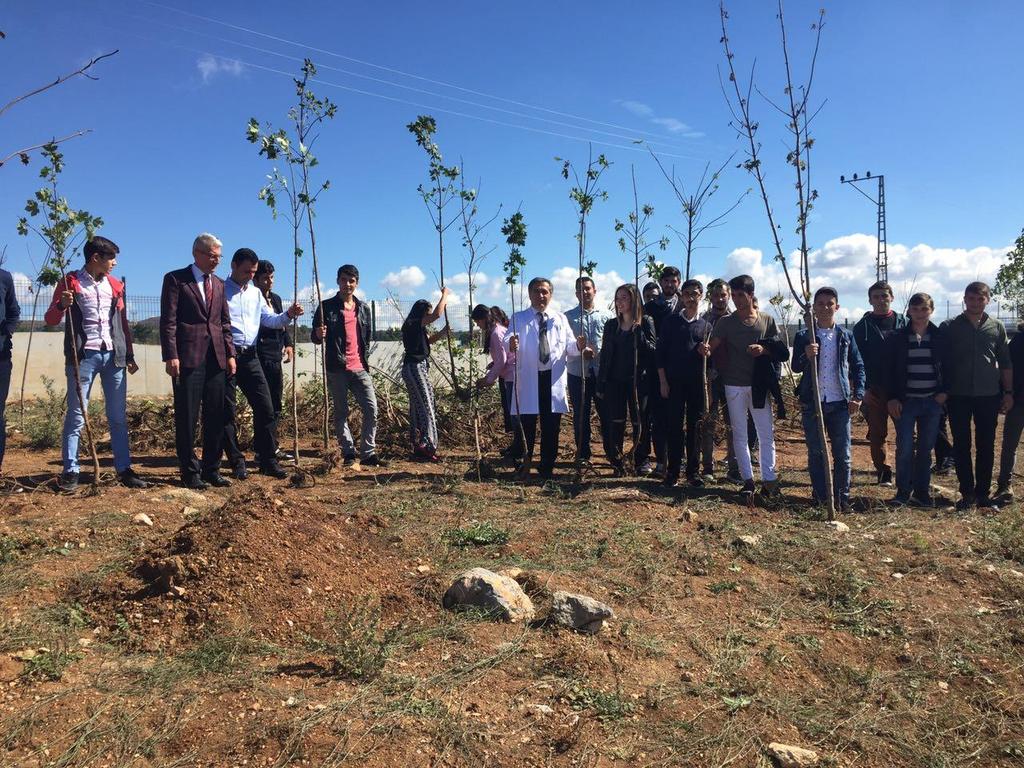 yılının başlamasıyla birlikte kendi