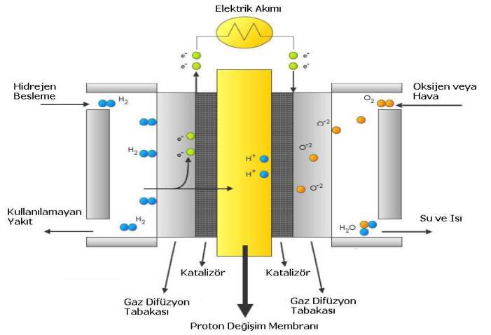 Yakıt hücrelerinde iki katalizör tabakası mevcuttur ve bu tabakalar membran-elektrot sistemi için kritik bir rol oynar. Bu tabakaların yokluğunda membran-elektrot fonksiyon gösteremez. 4.