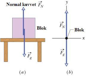 Mekanik problemlerinde çok sıklıkla karşılaşılan kuvvetler ve özellikleri Newton un evrensel kütle çekim yasasının mekanizması: Bir nokta kütle (m 1 ) diğer bir nokta kütleyi (m 2 ), iki kütlenin