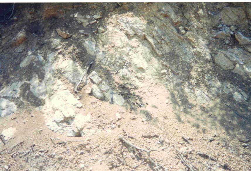 2.2.2. Granit-Granodioritler (γ) Çalışma alanının kuzeydoğusunda 2 km 2 kadar bir alanı kaplayan granitgranodiorit bileşimli bir plüton yer alır. Bej krem rengi renkte, yaklaşık 0,5 cm.