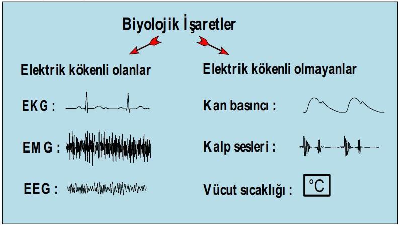 elektriktir.