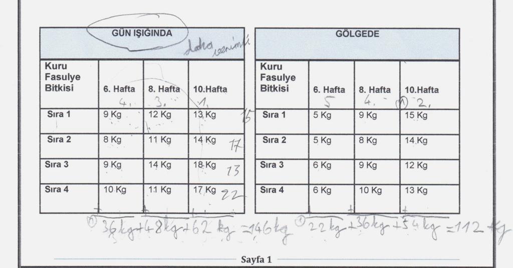 Şekil 28: İkinci Odak Grubun İlk Göreve Ait Çözüm Kağıtları Yukarıdaki alıntılar gösteriyor ki, her bir tablodaki fasulye sıralarının haftalara ait fasulye ağırlıklarının toplamını bulan öğrenciler