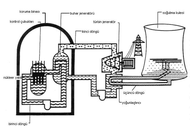 olmuştur. Bugün, 2006 yılı kasım ayı itibariyle dünyada 214 adet basınçlı su reaktörü (PWR) türü reaktör bulunmaktadır. Şekil 3: Basınçlı Su Reaktörü 3.1.1.1.PWR da Soğutucu Suyu Döngüleri PWR ler üç adet ana soğutucu suyu döngüsünden oluşmaktadır.
