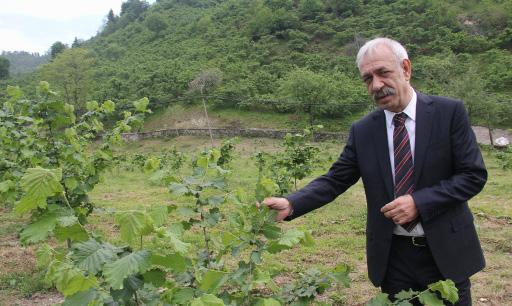 Başta Türkiye fındık ihracatının yüzde 40 ını gerçekleştiren Oltan Gıda olmak üzere, ihracattaki ilk 10 arasında Trabzon dan 4 firma yer alıyor.
