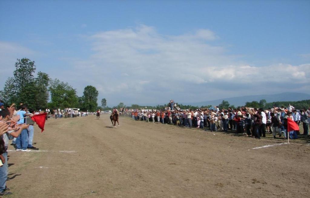 Düzce at yarışlarının yapıldığı yıllarda nalbantlık ve saraçlık gibi atla ilgili mesleklerde bir merkez olmuştur.