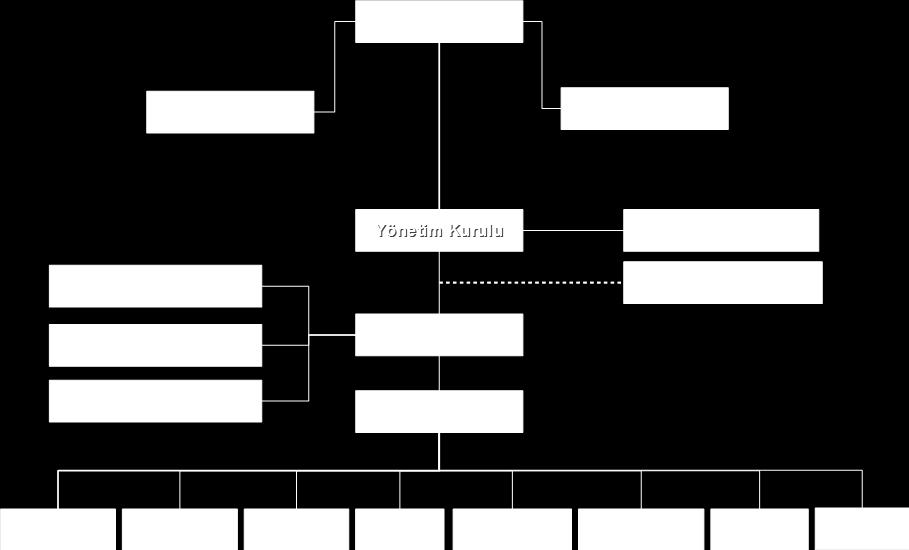 ORGANİZASYON ŞEMASI Revizyon