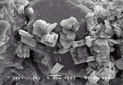 Elektron mikroskobunda kaolen tanelerinin görünümü Kaolen