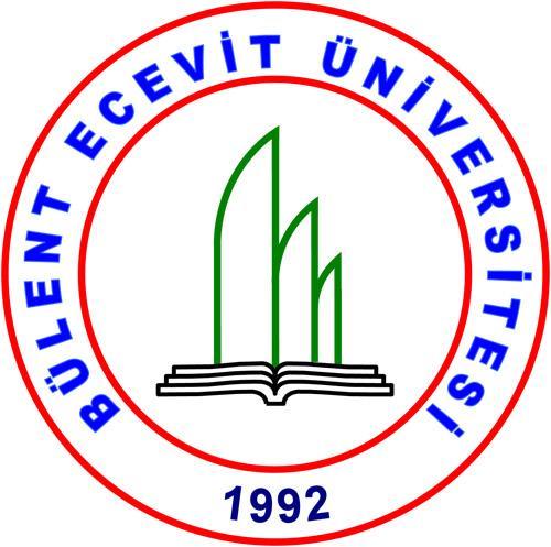 Bilgisayar Mühendisliği Bülent Ecevit Üniversitesi