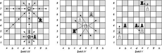 Her oyuncunun 16 taşı vardır: Bir Şah, bir Vezir, iki Kale, iki Fil, iki At ve sekiz piyon. Oyunun amacı rakip şahı almak yani mat etmektir.