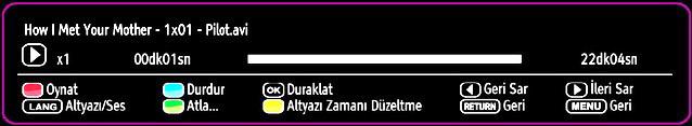 Bir video dosyası oynatılırken aşağıdaki menü görüntülenecektir: Oynat (KIRMIZI tuş): Video oynatımını başlatır. Durdur (MAVİ tuş): Video oynatımını durdurur.