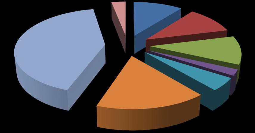 Yetiştirme Temel Alanı 14% Fen Bilimleri ve Matematik Temel Alanı 7% Mühendislik Temel Alanı