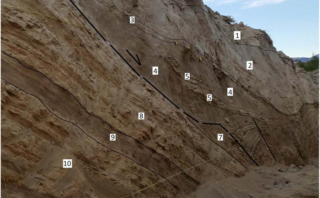 Şekil 11. Burkent hendeğinin GD dan itibaren 2-7 m. arası hendek litolojileri ve fayların konumu (GGB ya bakış) (1: doğal toprak. 2: gri-beyaz kil (yer yer siltli). 3: sarımsı renkli marn.
