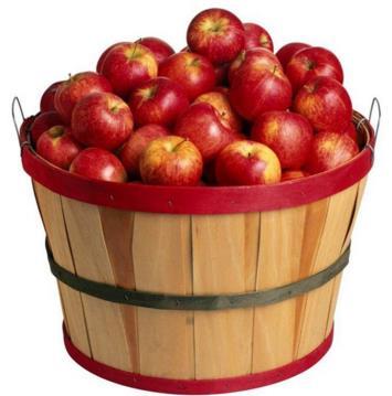 Elma Amasya elmasıyım, Meyvelerin