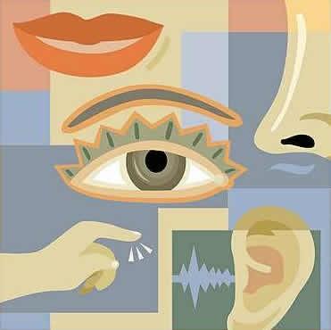 Duyusal Bellek Çevreden gelen uyarıcılar duyu organları yolu ile duyusal kayıta gelirler Duyusal kayıtın kapasitesi çok geniş olmasına