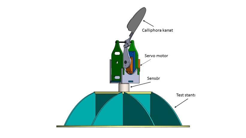 Deney Düzeneği ve Sonuçlar 3 boyutlu mekanizma Solidworks kullanılarak tasarlanmış ve üretilmiştir (Şekil 6). Sistem temelde pleksi cam malzeme kullanılarak üretilmiştir.