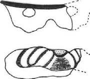 Yassıhöyük (Acıpayam/Denizli): B Açması,2. Tabaka (Kazı arşivi) b. Çift Parmak Delikli Yatay Kulplar Bu grupta yatay kulpların çift parmak delikli örnekleri yer almaktadır.