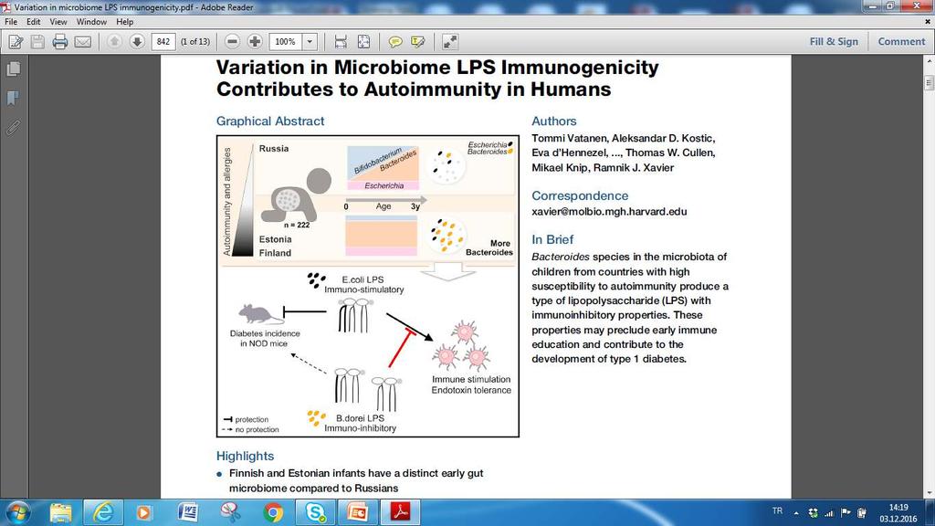Mikrobiyota içeriğindeki Bacteroides türüne ait LPS immün sistemi