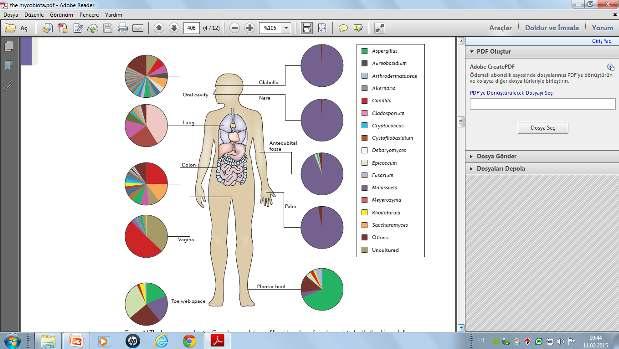 Infect. Microbiol., 02 November 2012 doi: 10.