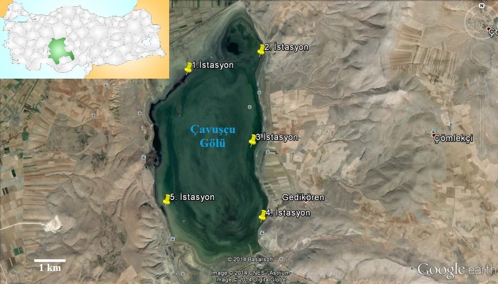 SOME WATER QUALITY PROPERTIES OF ÇAVUŞÇU LAKE (KONYA/ILGIN) 4 Şekil 1. Çavuşçu Gölü uydu görüntüsü ve çalışma istasyonları (Anonim, 2014). 3.