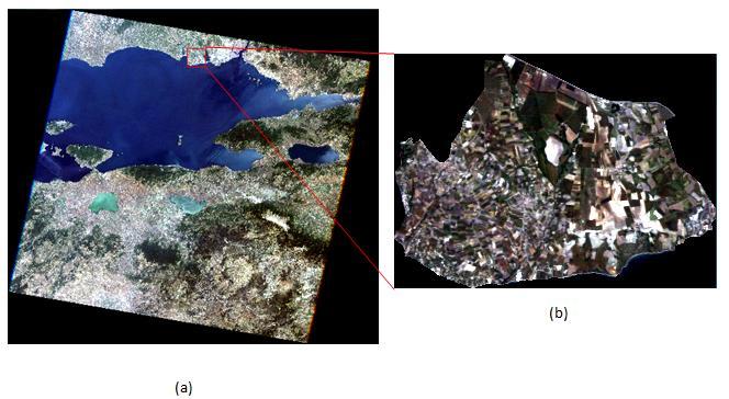 değerlendirilmiştir. Uydu görüntüleri İstanbul Büyükşehir Belediyesi tarafından temin edilen ilçe vektör dosyası ile kesilmiştir (Şekil 5.4 ve Şekil 5.5).