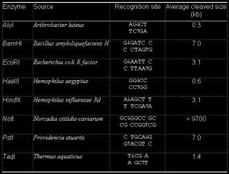 Genetik mühendisliği bakımından büyük öneme sahip olduklarından yeni enzimler de araştırılmaktadır. Ticari olarak yaygın bir şekilde bulunmaktadırlar.