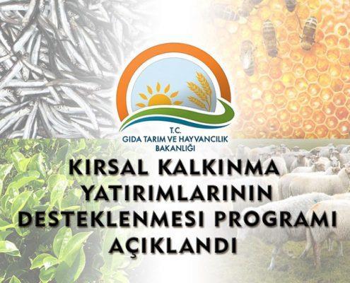T.C. Gıda, Tarım ve Hayvancılık Bakanlığı Kırsal Kalkınma Yatırımlarının Desteklenmesi Programı (KKYDP) kapsamında Tarıma Dayalı Yatırımların Desteklenmesi programı 2017 yılı proje teklif çağrısı