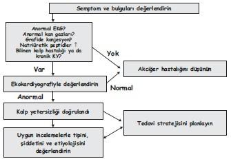 Akut kalp yetersizliği tanısı Heart Foundation Quick