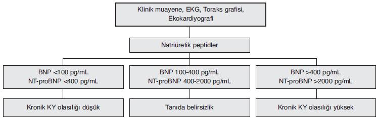 Akut fazda yapılan (BNP ve NT-proBNP) değerlendirmesi, AKY yi dışlamak açısından KKY kadar kanıt bulunmamaktadır. AKY de BNP ve NT-proBNP referans değerleri konusunda görüş birliği bulunmamaktadır.