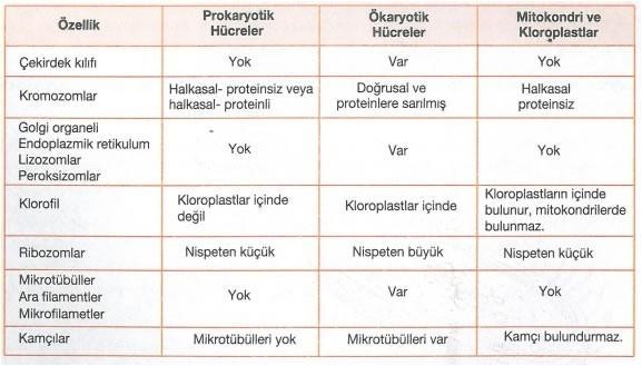 Madde ve Özkütle 2 YGS Fizik 3 Anatomi: Hücre dokusu ve organların yapısını inceler. Ekoloji: Çevre bilimi Morfoloji: Canlıların dış görünüşlerini inceler.