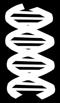 Buna göre, DNA molekülüyle ilgili olarak, I.Hücrede kalıtım ve yönetimden sorumludur. II.Asıl yapısını Adenin, Guanin, Sitozin ve Timin den oluşturur. III.