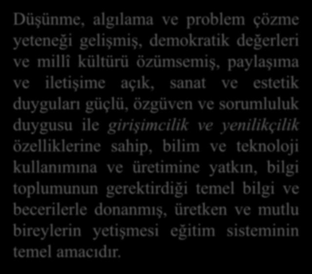 yatkın, bilgi toplumunun gerektirdiği temel bilgi ve becerilerle donanmış,